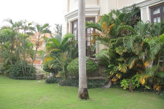 villa for rent in thao dien district 2 hcmc D2200061 (19)